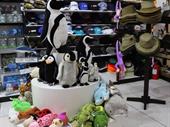 tourist gift shop prime