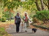 professional homecare business mansfield