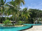 established pool landscaping construction