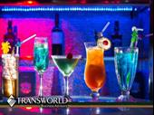 restaurant bar port richey