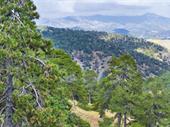 hotel the troodos mountains