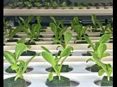 industry leading agtech precision