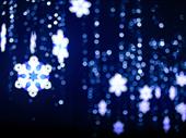 holiday outdoor lighting business