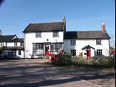 popular tea shop with