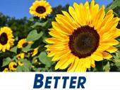 garden services-recurring income-staff control