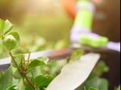 premier landscaping business with