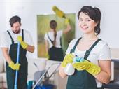 established home watch cleaning