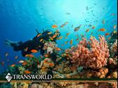outdoor lifestyle marine gear