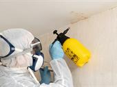 top performing restoration company