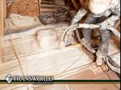long standing floor coating