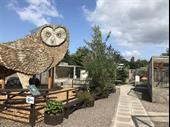 scottish owl centre internationally