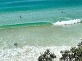 prime business opportunity burleigh