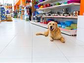 pet empire w distribution