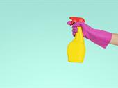 cleaning service business mossel