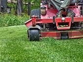 lawn business port charlotte