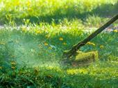 profitable lawn business equipment