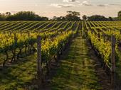 award-winning napa valley winery