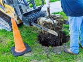 landscaping biz with extensive