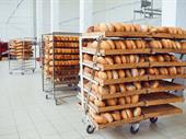 profitable wholesale bakery with