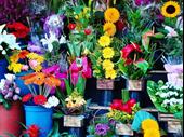 fantastic turn-key floral shop