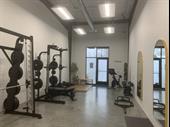 new disruptive fitness concept