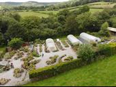 established plant nursery holmesfield