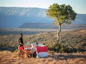 south africa's best premium