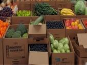 distributor of fruits vegetables