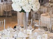 thriving party rental business