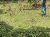 50 acres of farm