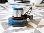 fast growing grout tile