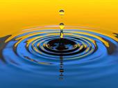 leading established irrigation business