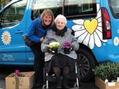 new driving miss daisy