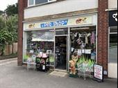 pet shop worcester