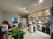 well established stylish beauty