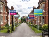 lettings estate agency north