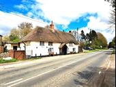 freehold investment somerset village