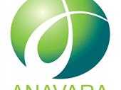 established medical tourism business