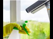 established profitable eco-friendly cleaning