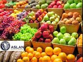 fruit vegetable business for