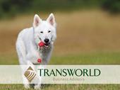 fabulous dog training boarding
