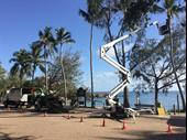 long-established tree services business