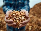 long-established tree services business