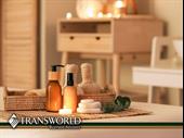 online health wellness business