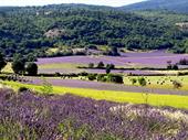 idyllic 150 acre retreat