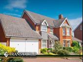 shutters shades blinds franchise