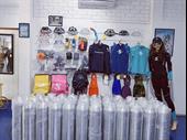 import export established sales