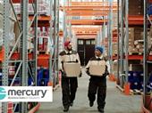 established wholesale import business