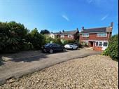 luxury cattery substantial family
