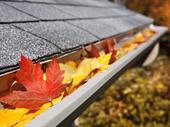 highly profitable gutter cleaning